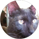 Steve Corder profile picture